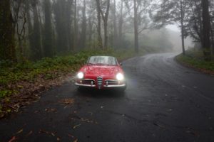 1956 Alfa Romeo Giulietta Spider Type 750- headlights on, front view