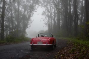1956 Alfa Romeo Giulietta Spider Type 750-parked in mist among trees